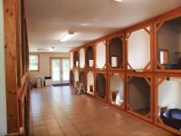 cat boarding kennel